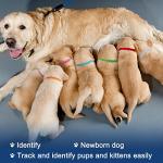 20 Color Adjustable Whelping Collars for Puppies