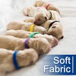 20 Color Adjustable Whelping Collars for Puppies