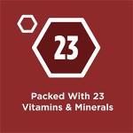 Purina Dog Chow Beef Flavor Dry Dog Food 18.5 lb