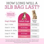 Dr. Harvey's Grain-Free Raw Vibrance Dog Food