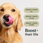 Instinct Raw Boost Grain-Free Dry Dog Food