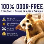 Himalayan Yak Cheese Dog Chews - Large Pack