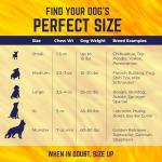 Himalayan Yak Cheese Dog Chews - Large Pack