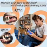 20-Piece Blue Puppy Toy Pack for Small Breeds