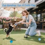 20-Piece Blue Puppy Toy Pack for Small Breeds