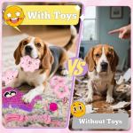 9 Pack Cute Squeaky Dog Toys for Puppies