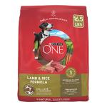 Purina ONE Lamb and Rice Dry Dog Food 16.5 lb