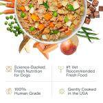 JustFoodForDogs Frozen Beef & Potato Dog Food