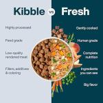 JustFoodForDogs Frozen Beef & Potato Dog Food