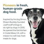 JustFoodForDogs Frozen Beef & Potato Dog Food