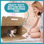 Cardboard Pet Carrier - 12 Pack