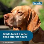 Seresto Large Dog Flea & Tick Prevention Collar