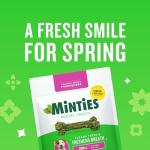 Vetiq Minties Tiny Dental Bones for Dogs