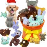 Interactive Plush Dog Toy Set - 11 Pieces