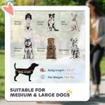 Foldable Dog Stroller for All Sizes - Gray