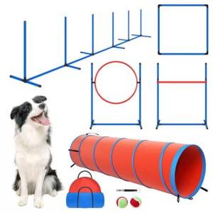 Backyard Dog Agility Course Training Set