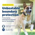 PetSafe GPS Dog Fence – No Subscription Needed