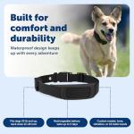 PetSafe GPS Dog Fence – No Subscription Needed