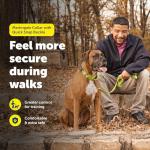 PetSafe Large Red Martingale Dog Collar