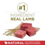 Purina ONE Lamb and Rice Dry Dog Food 31.1 lb