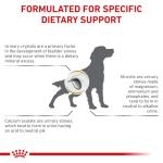 Royal Canin Urinary SO Adult Dry Dog Food