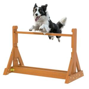 Dog Agility Training Set for Backyard Fun