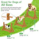 Dog Agility Training Set for Backyard Fun