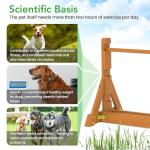 Dog Agility Training Set for Backyard Fun