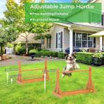 Dog Agility Training Set for Backyard Fun