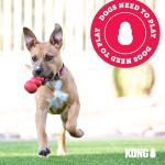 KONG Natural Teething Toy for Small Puppies - Pink