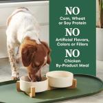 Nutro Natural Choice Small Bites Dog Food, Lamb