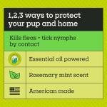 Natural Flea and Tick Care Kit for Dogs