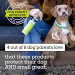 Natural Flea and Tick Care Kit for Dogs