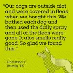 Natural Flea and Tick Care Kit for Dogs