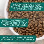 Rachael Ray Nutrish Bright Puppy Dry Dog Food