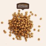 Rachael Ray Nutrish Bright Puppy Dry Dog Food