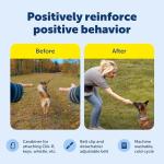 PetSafe Sport Treat Pouch - Durable Dog Training Tool