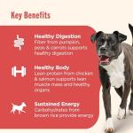 Rachael Ray Nutrish Gentle Digestion Dog Food, 12-Pack