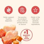 Rachael Ray Nutrish Gentle Digestion Dog Food, 12-Pack