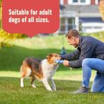 Rachael Ray Nutrish Gentle Digestion Dog Food, 12-Pack