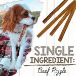 Nature Gnaws Extra Thin Bully Sticks for Puppies