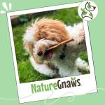 Nature Gnaws Extra Thin Bully Sticks for Puppies