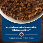 Blue Buffalo Senior Dry Dog Food for Small Breeds