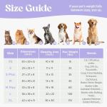 Cozy Round Dog Bed for Indoor Pets - Blue