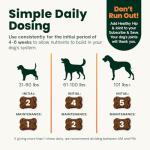 Healthy Hip & Joint Chews for Dogs, 120 Count