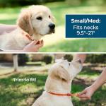 Wondercide Natural Repellent Dog Collar - Small/Medium