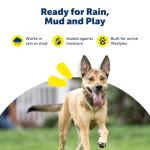 PetSafe Waterproof Lithium Dog Collar Batteries - 2 Pack