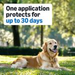 Flea and Tick Treatment for Medium Dogs, 3 Pack