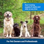 PetSafe Clik-R Dog Training Clicker - Purple