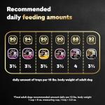 Cesar Wet Dog Food Steak Lovers Variety Pack